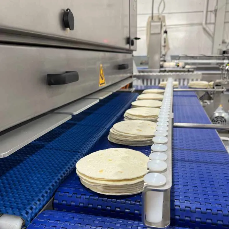 mija-tortilla-planta-int